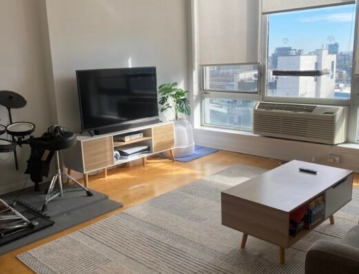 Cleanzilla Cleaning Nyc