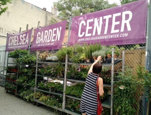 Chelsea Garden Center