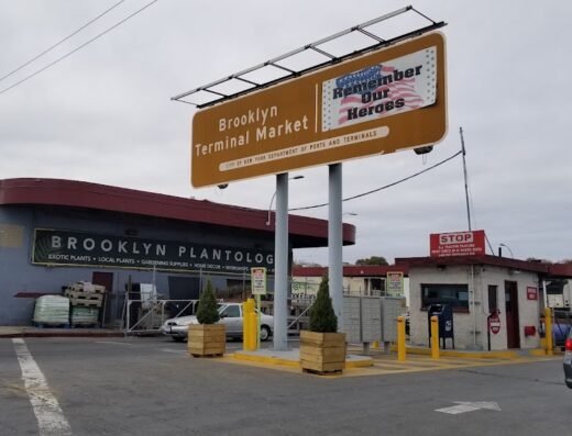 Brooklyn Plantology by Lapide