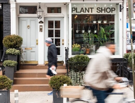 The Old Yew Plant Shop