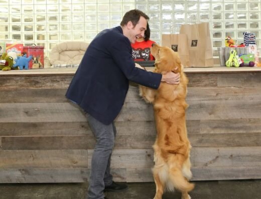 New York Dog Spa & Hotel – 25th Street