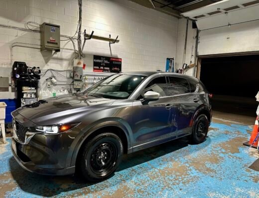 Empire Auto Detailing Inc (tinting, ppf, ceramic coating)