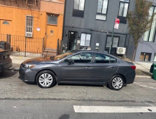 Blue Star Brothers Auto Spa & Detailing | Greenpoint