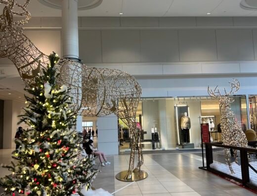 CF Chinook Centre