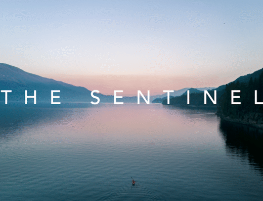 The Sentinel