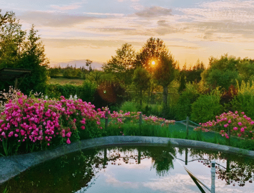 Hi-Knoll Driving Range & Minigolf