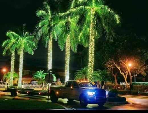 Polina Towing Service | Heavy Duty Towing I Emergency Road Assistance, & Vehicle Recovery in New Jersey