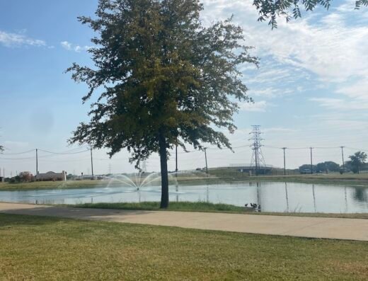 Day-use Swimming Area