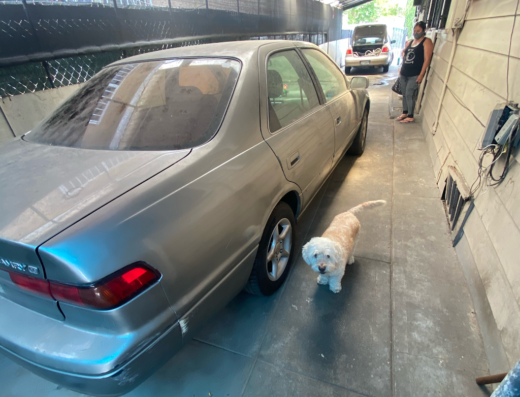 Burbank Cash For Cars