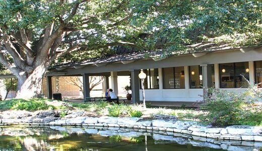 Austin Life Chiropractic