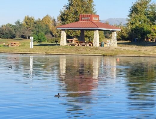 Wheel Fun Rentals | Lake Balboa Bike Rentals