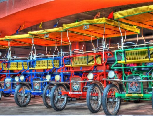 Wheel Fun Rentals | Marine Park
