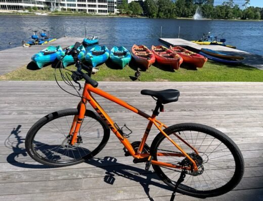 ECO EZ-Riders