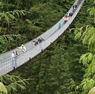 Capilano Suspension Bridge Park