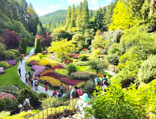 The Butchart Gardens