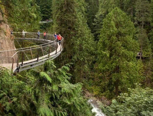 Cliffwalk