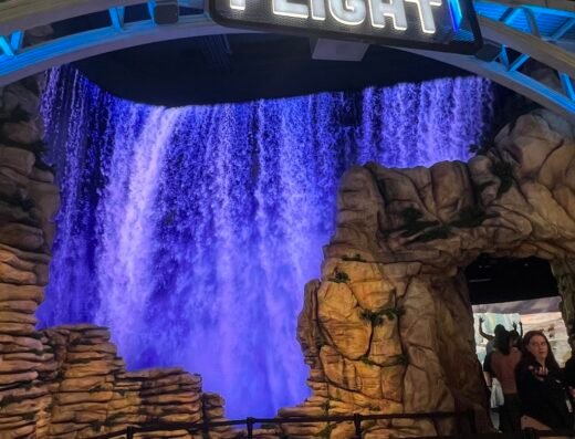 Niagara Takes Flight