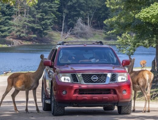 Omega Park
