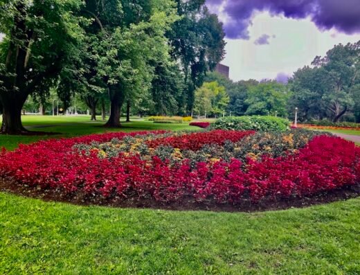 Commissioners Park
