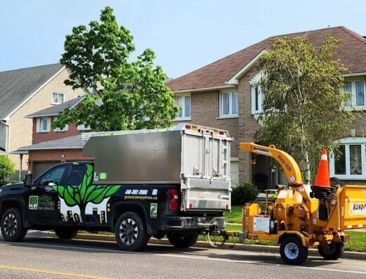 Green Canopy Tree Services