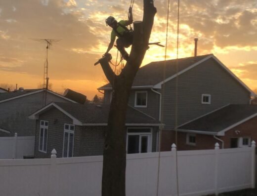Big Tree Services Inc.