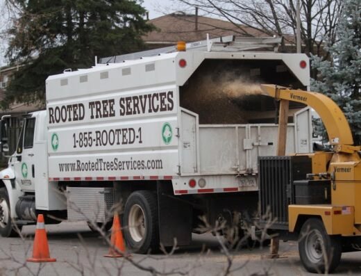 Rooted Tree Services
