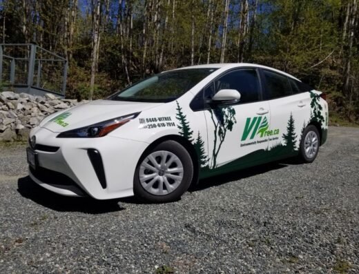 VI Tree Service
