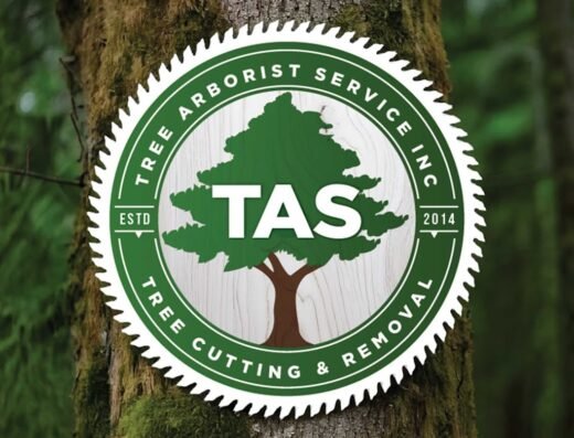 Tree Arborist Service