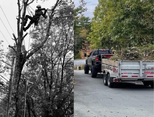 Titan Tree Services