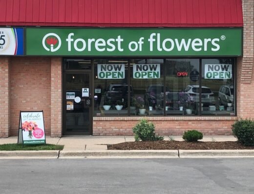 Forest of Flowers