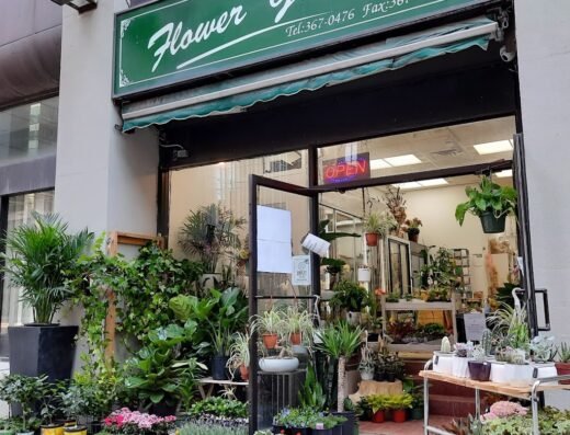 Toronto Flower Gallery