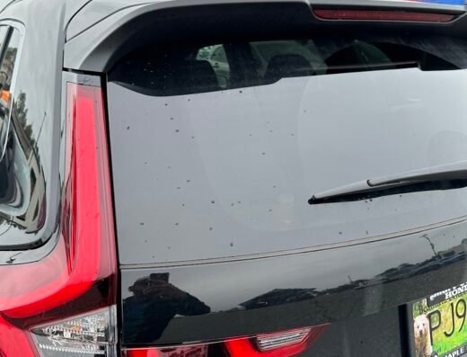 Washworld – Maple Ridge