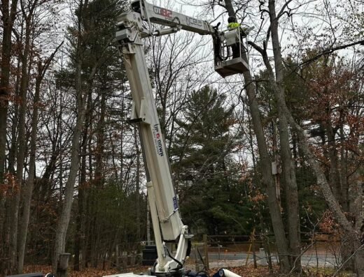Shady Lane Expert Tree Care