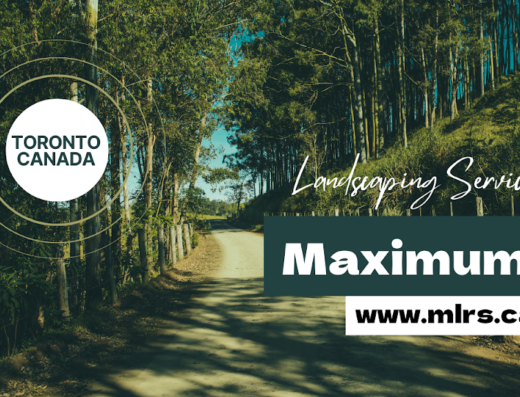 Maximum Landscaping Services